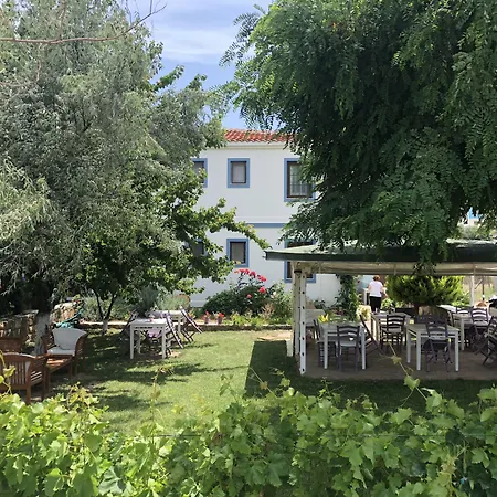 Kirli * 博兹贾阿达岛