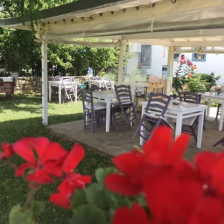 Kirli * 博兹贾阿达岛