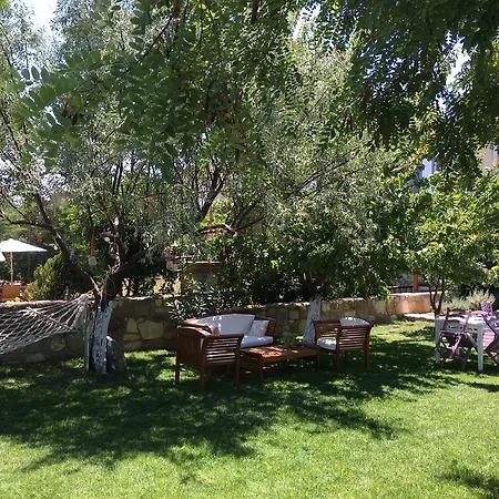 招待所 Kirli 博兹贾阿达岛