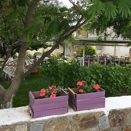 Kirli 博兹贾阿达岛