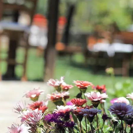 Guest house Kirli *