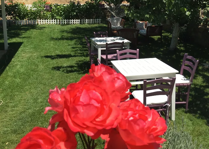 Maison d'hôtes Kirli