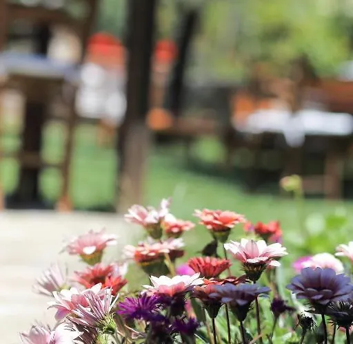 Maison d'hôtes Kirli *